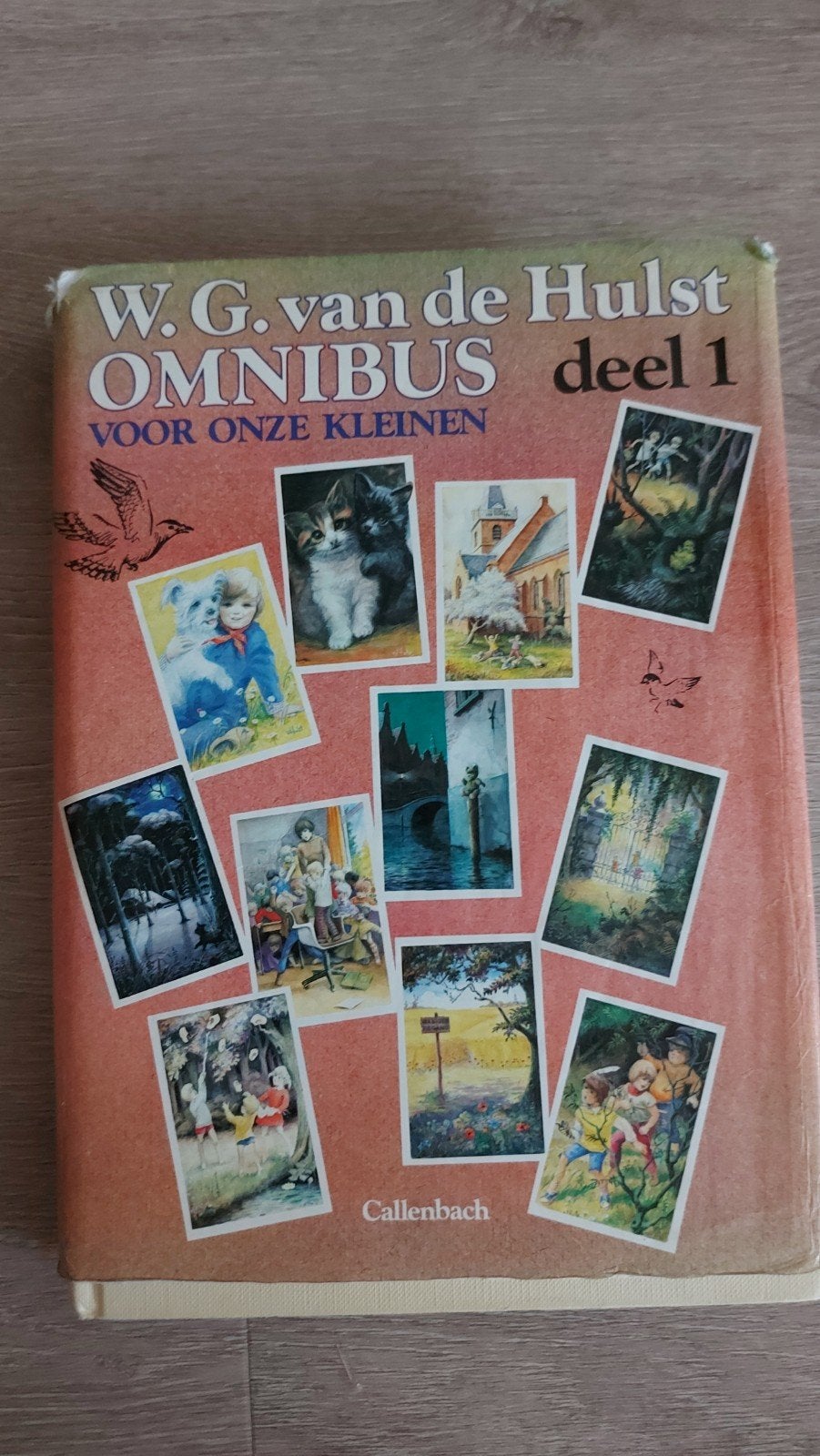 BB 1: W.G. van de Hulst Omnibus deel 1 - Voor onze Kleinen, Ophalen of Verzenden, Gelezen, W.G. van de Hulst, Fictie algemeen