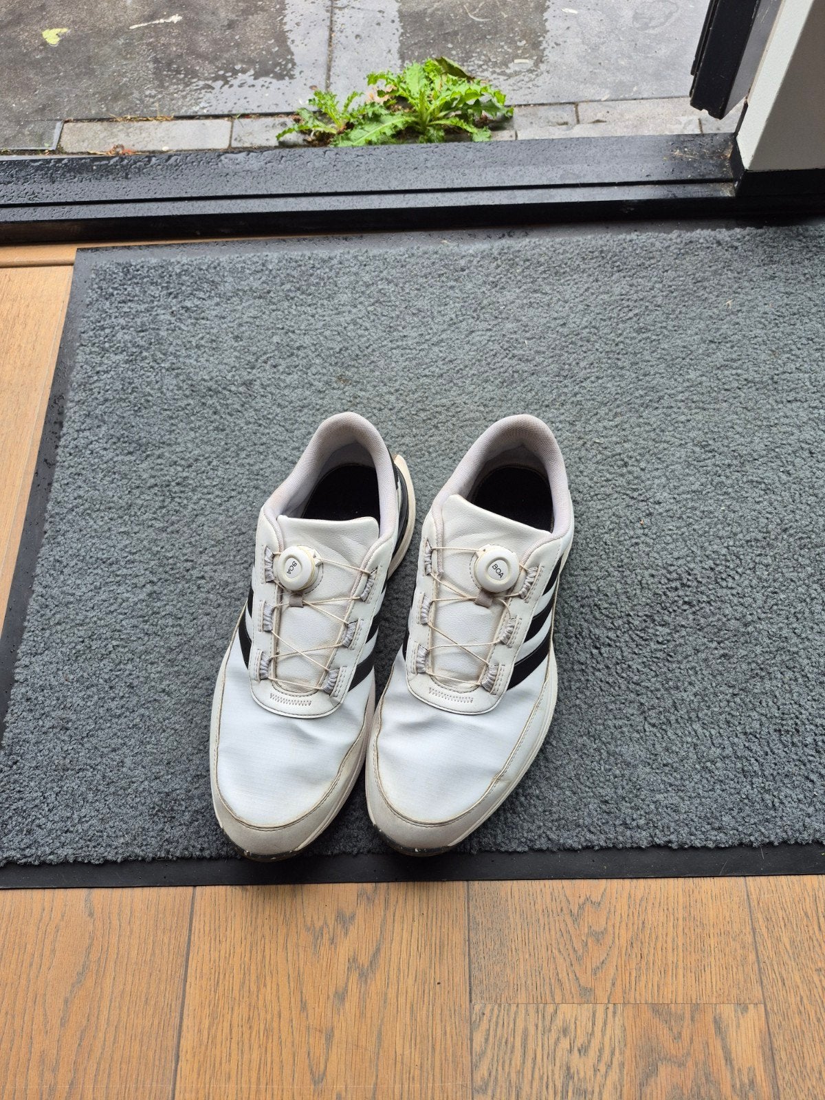 Witte Adidas golfschoenen met BOA sluiting - Maat 46,5, Ophalen of Verzenden, Gebruikt, Schoenen, Overige merken