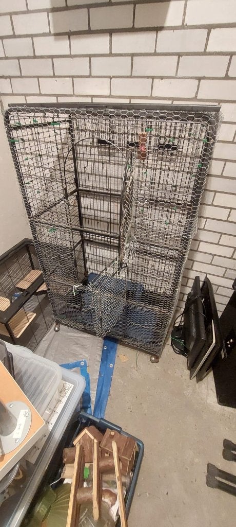 Grote rattenkooi met accessoires – verrijdbaar, Ophalen, Kooi, Gebruikt, Muis
