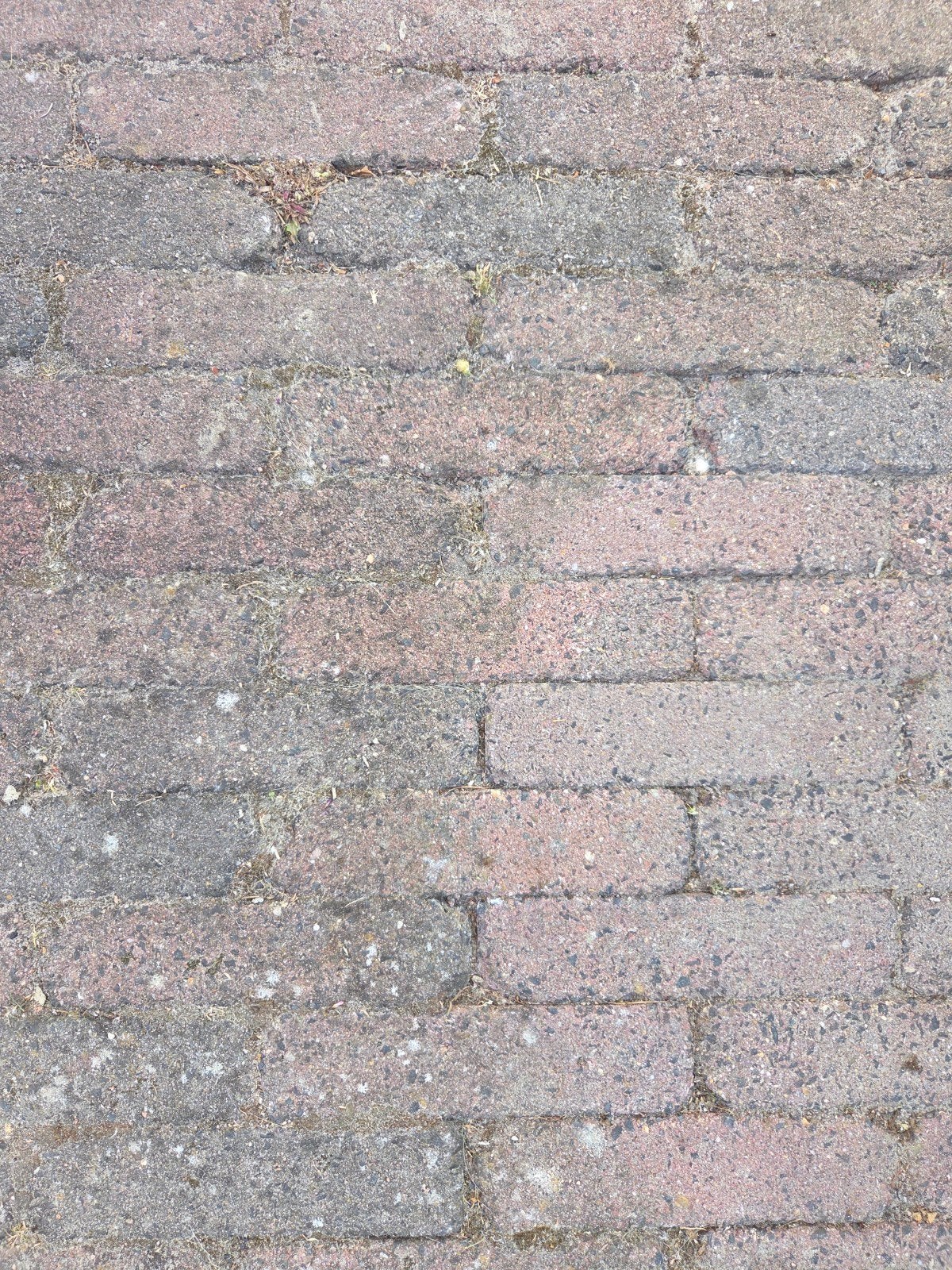 Gebruikte betonnen stenen 20x5x7 ongeveer 20m2, Doe-het-zelf en Verbouw, Metselstenen, Ophalen, Gebruikt, Beton