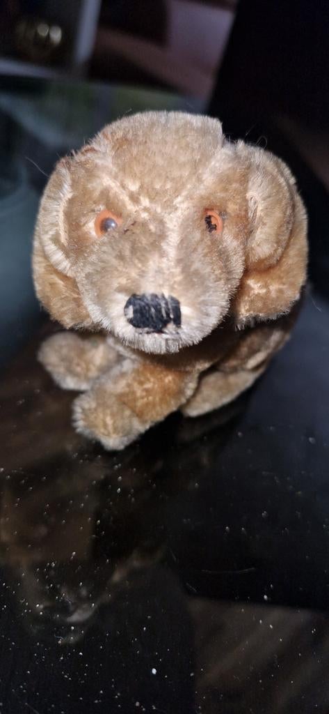 Steiff hondje met halsband jaren 50/60 origineel, Antiek en Kunst, Antiek | Speelgoed, Ophalen of Verzenden