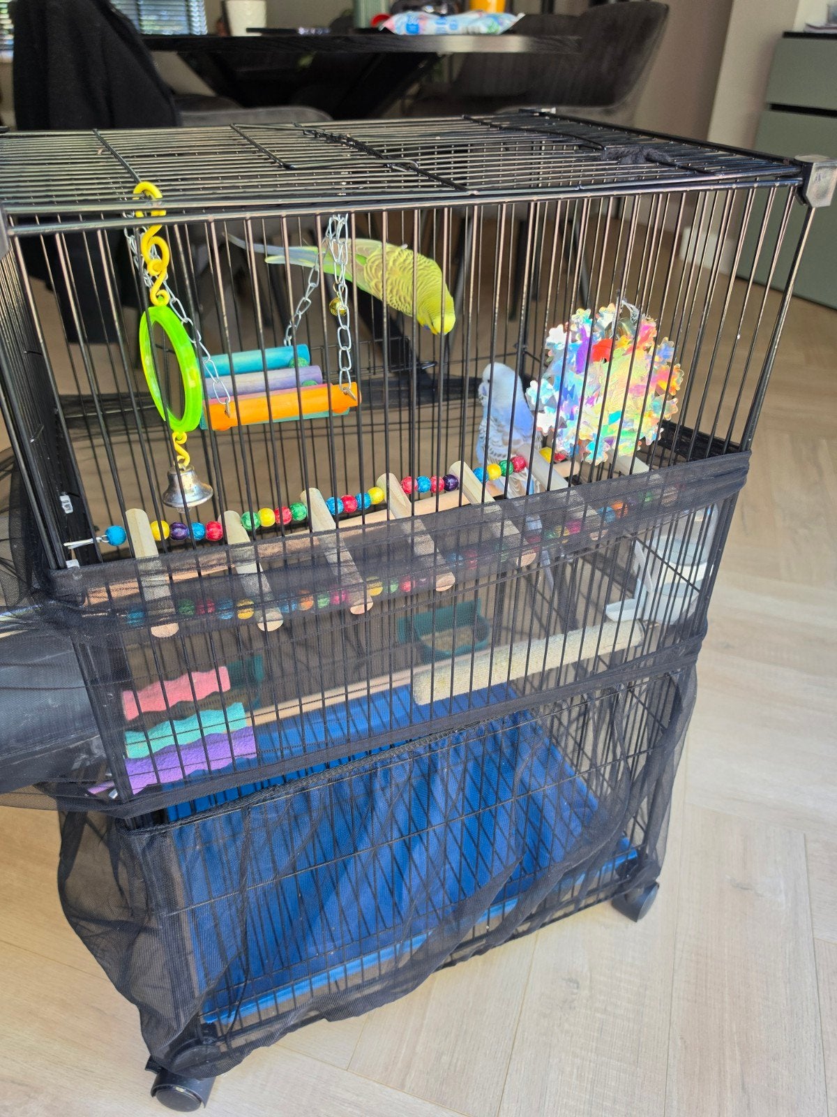 2 parkieten mannetje en vrouwtje met kooi, Ophalen of Verzenden, Vogelkooi