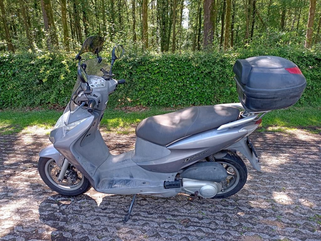 Honda Dylan 150, Particulier, Scooter