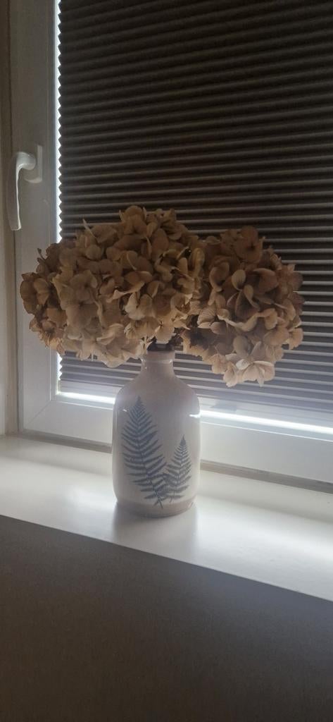 3 mooie gedroogde hortensia's, Ophalen, Zo goed als nieuw