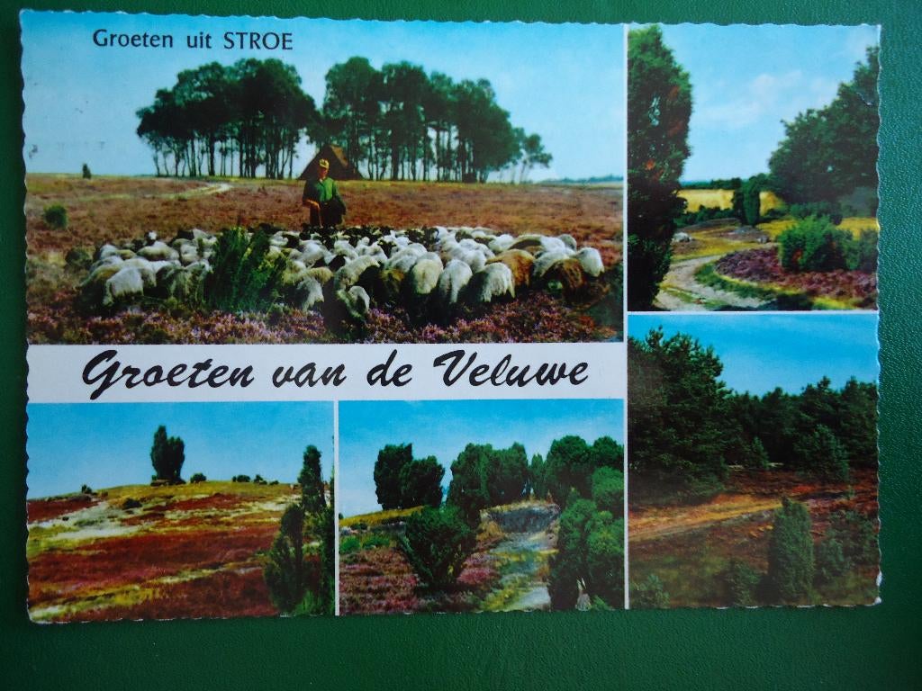 (571) Kaart: Groeten van de VELUWE / Groeten uit STROE, Verzamelen, Ansichtkaarten | Nederland, Verzenden, 1980 tot heden, Gelopen