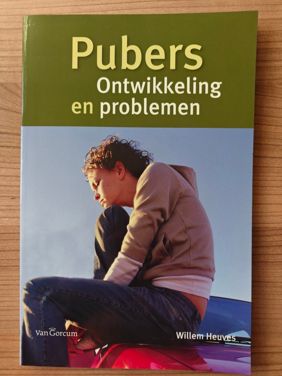Pubers: Ontwikkeling en problemen - Willem Heuves, Willem Heuves, Zo goed als nieuw, Gamma, HBO