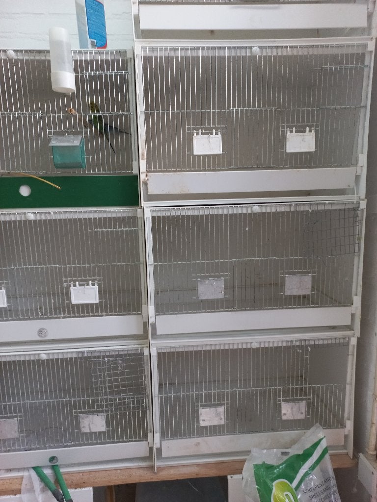 Te  koop broed/kweekkooi, Ophalen of Verzenden, Gebruikt, Kunststof, Broedkooi of Kweekkooi