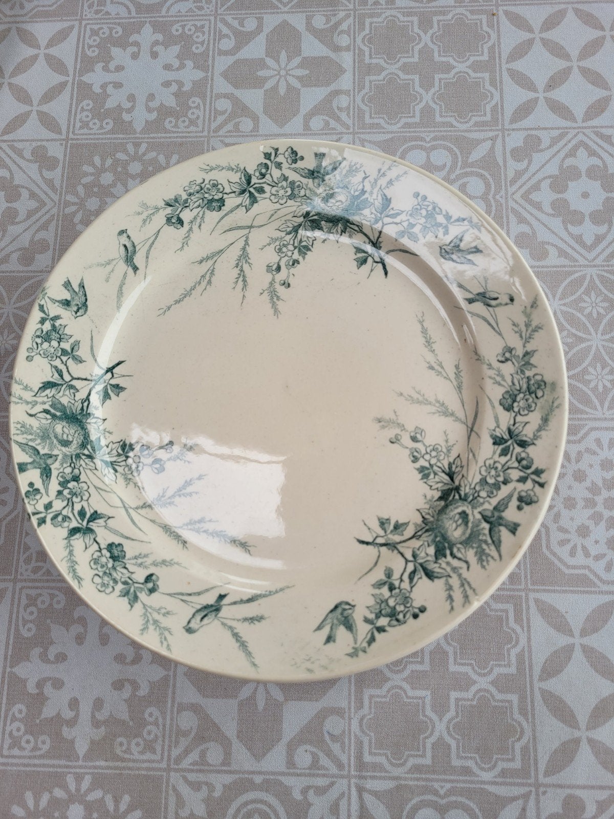 6 Antieke Limoges Terre de Fer borden met vogeldecor, Ophalen of Verzenden