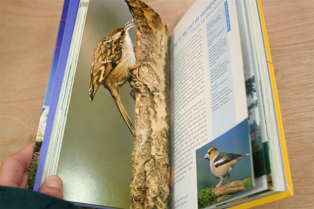 Vogels in hun Landschap — De Mooiste Vogelwandelingen, Ophalen of Verzenden, Zo goed als nieuw, Vogels
