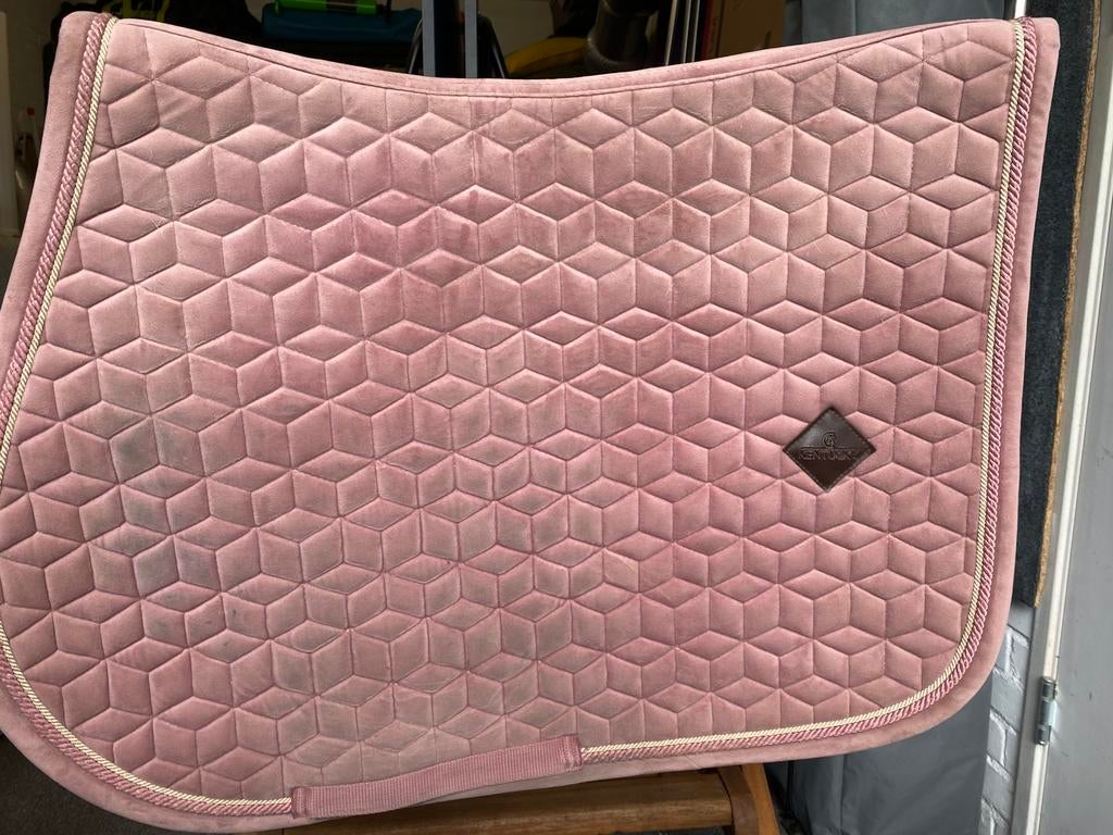 Kentucky roze full (spring), Gebruikt, Kentucky, Roze, Springdekje