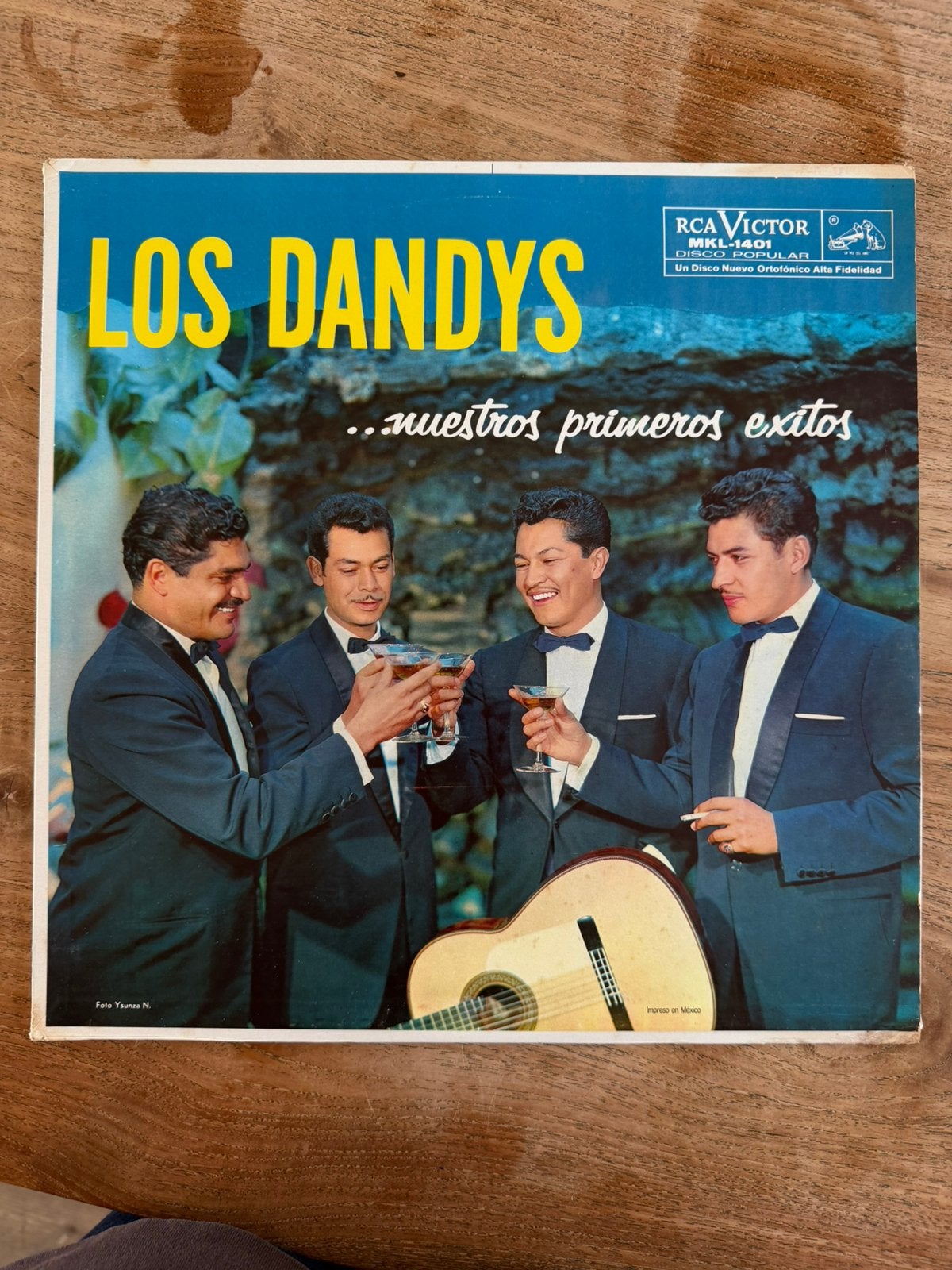 Lp los dandys - nuestros primeros exitos, Ophalen of Verzenden, Gebruikt, 12 inch