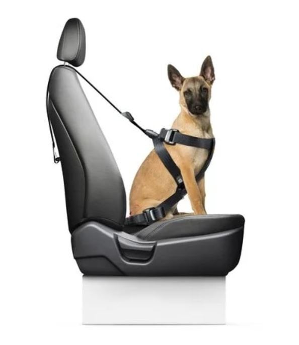Autogordel Travel Fix Classic - Hond Puppy - Hondengordel, Ophalen of Verzenden, Nieuw