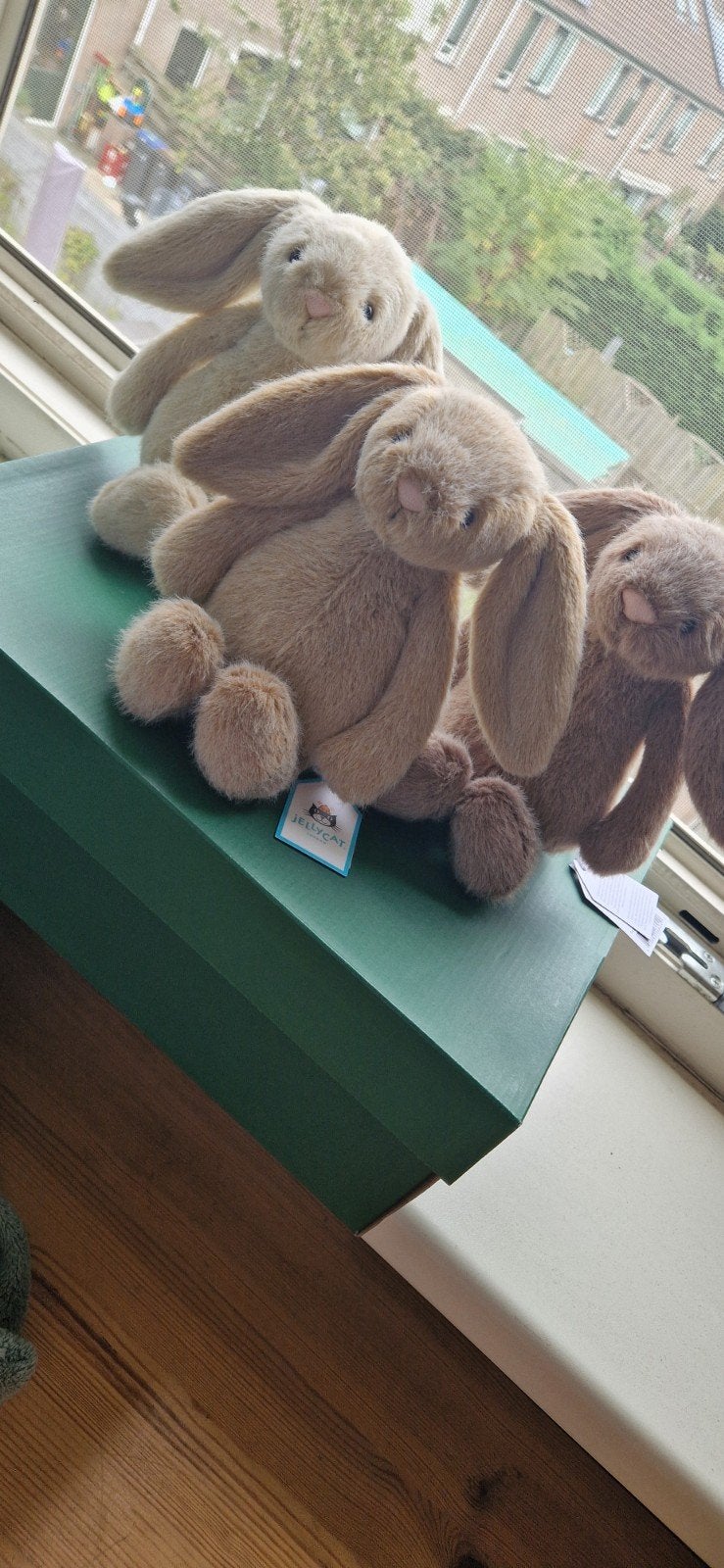 3 kleine Jellycat konijntjes, Jellycat, Konijn, Ophalen of Verzenden, Meerkleurig