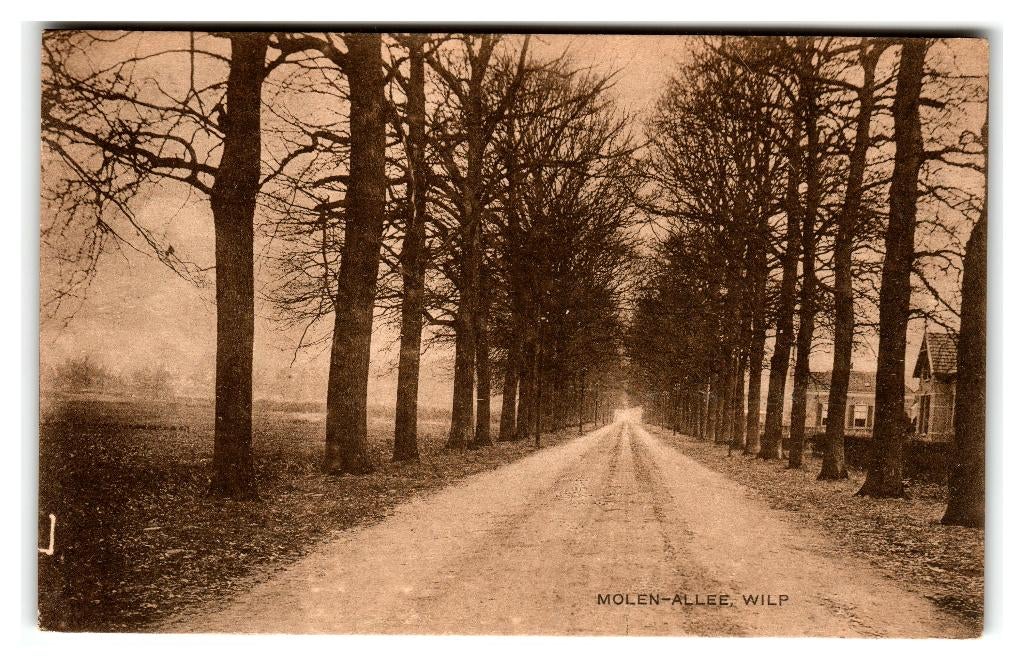 Wilp, Molen-Allee, Verzenden, 1920 tot 1940, Ongelopen, Gelderland