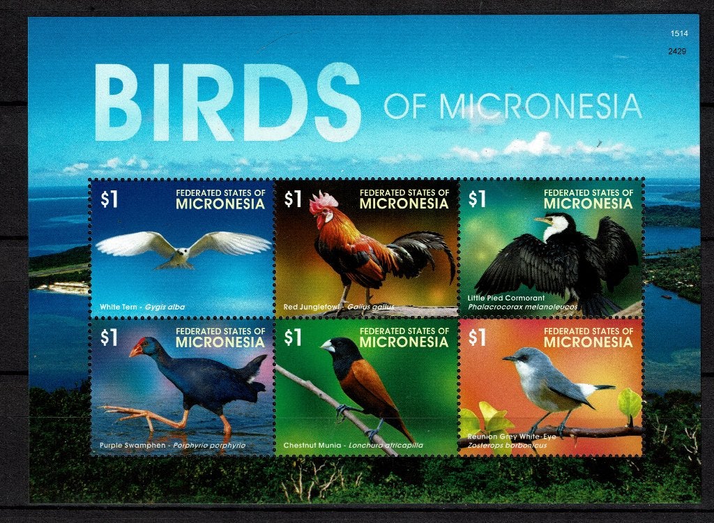 MICRONESIE 2015 PF BLOK VOGELS BIRDS 1, Postzegels en Munten, Ophalen of Verzenden, Postfris, Dier of Natuur