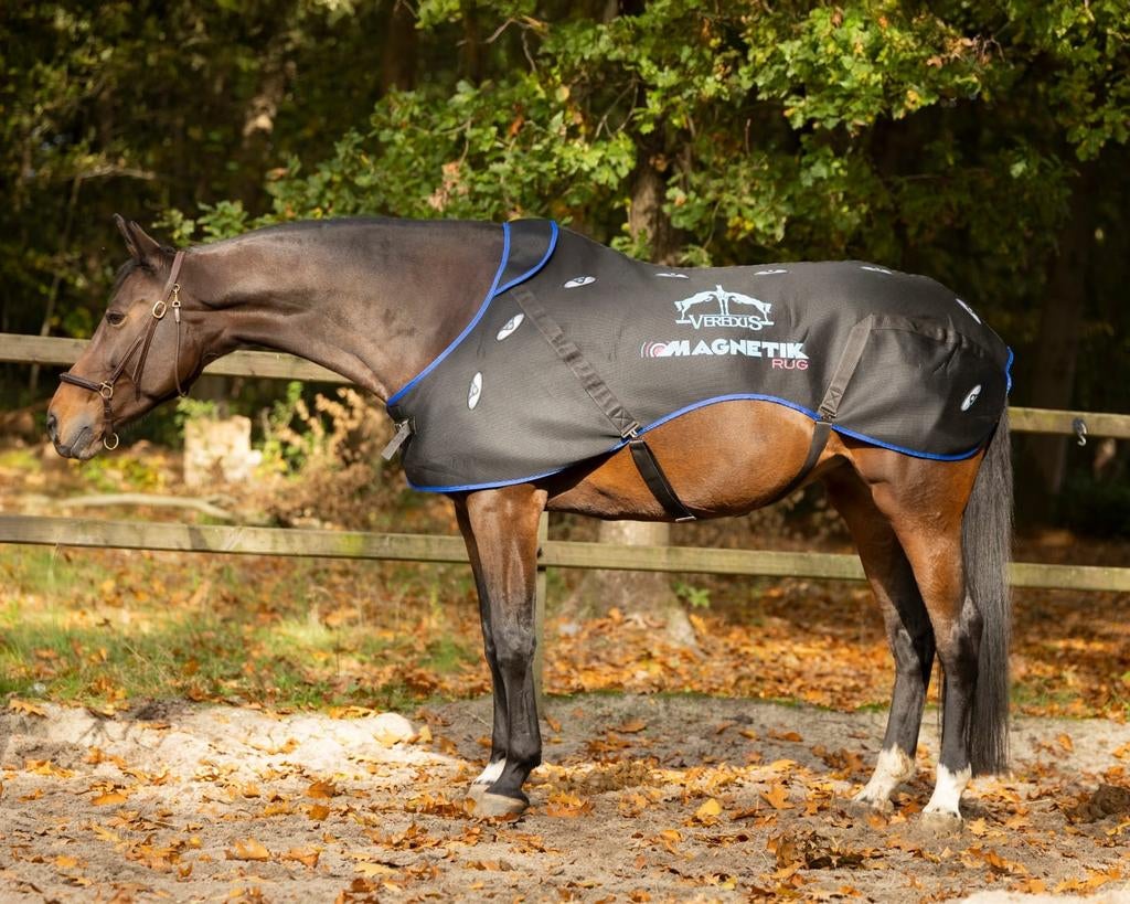 Te huur: magneetveldtherapie deken, Dieren en Toebehoren, Paarden en Pony's | Dekens en Dekjes, Ophalen, Nieuw
