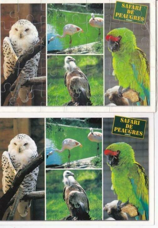 2 Franse (puzzel) ansichtkaarten vogels, uil, flamingo, Ophalen of Verzenden, 1980 tot heden, Ongelopen, Vogel