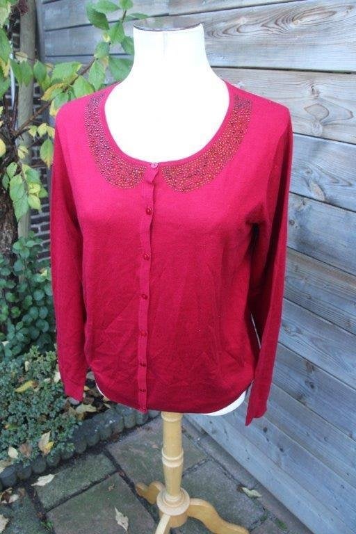 Vest donkerrood Giovane mt 42 Vaste prijs, Kleding | Dames, Maat 42/44 (L), Ophalen of Verzenden, Zo goed als nieuw, Giovane