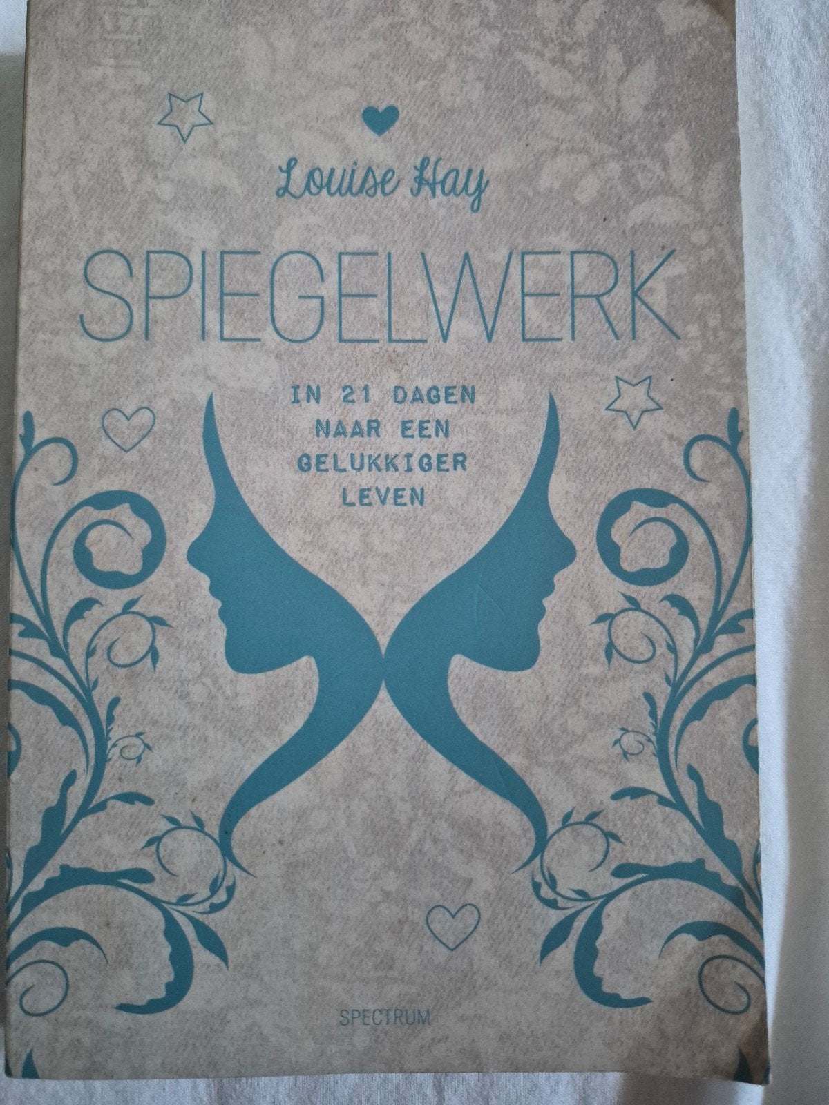 Spiegelwerk - Louise Hay, Boeken, Ophalen of Verzenden, Zo goed als nieuw, Louise Hay