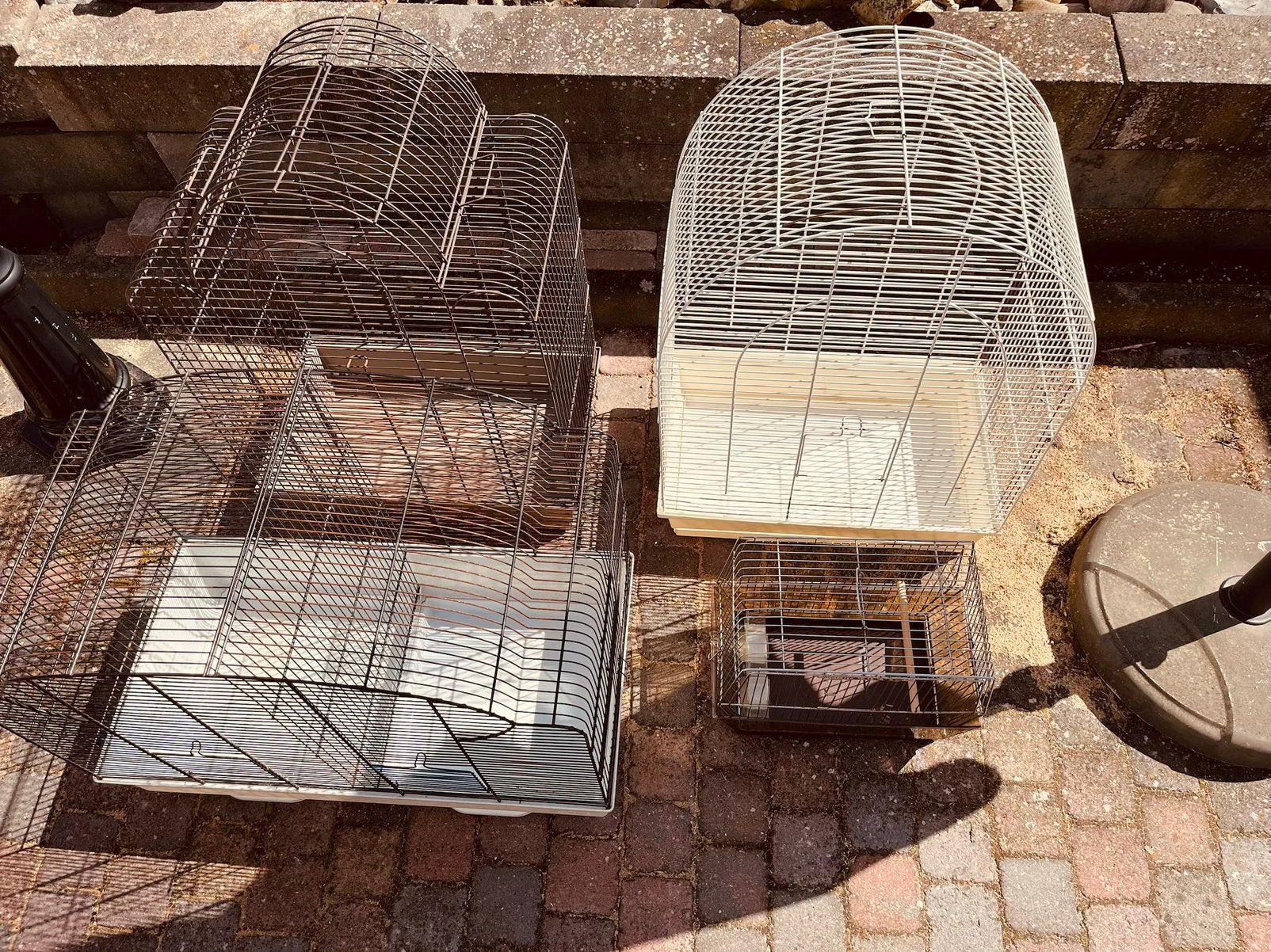Vogelkooien, Dieren en Toebehoren, Ophalen