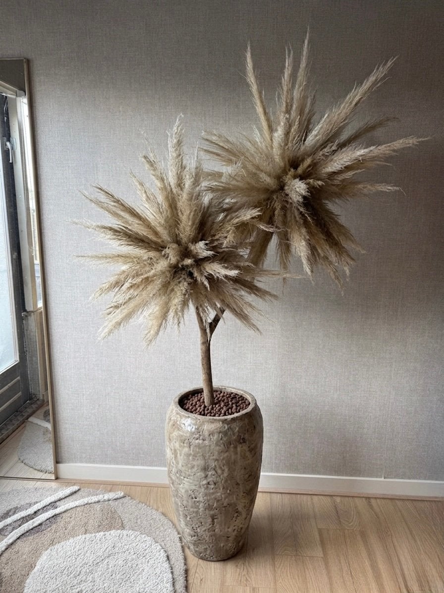 Pampasboom 183cm, Ophalen, Zo goed als nieuw, Binnen