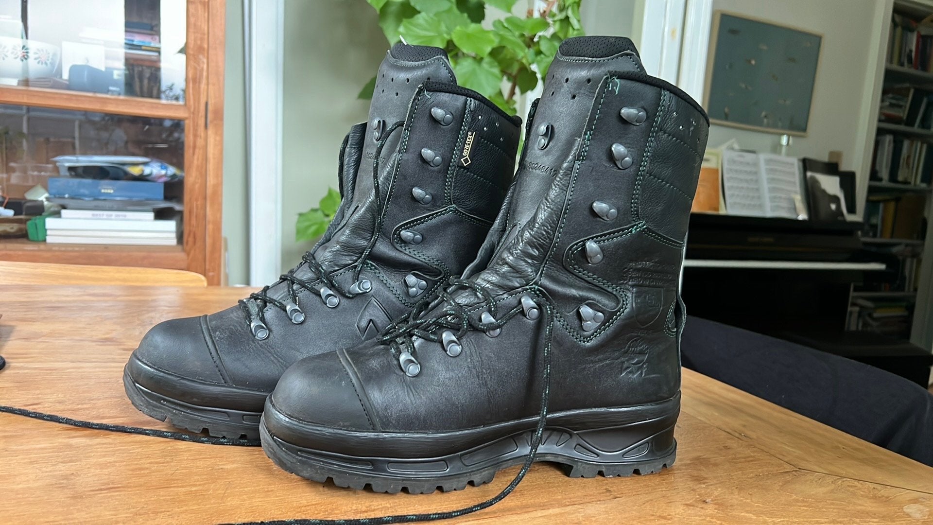 HAIX Protector Pro 2.0 bosbouw- en zaagschoenen maat 43, Ophalen of Verzenden, Zo goed als nieuw, Dames, Schoenen