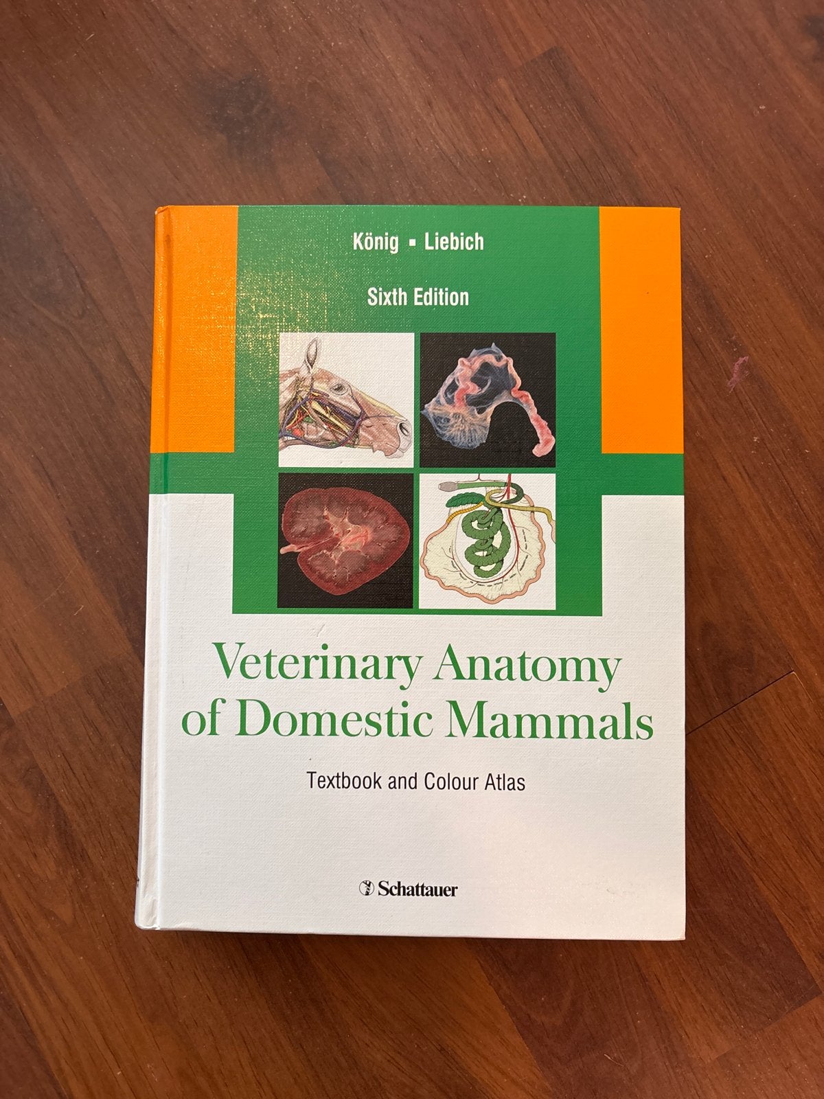 Veterinary Anatomy of Domestic Mammals - Sixth Edition, Ophalen of Verzenden, Beta, Zo goed als nieuw, WO