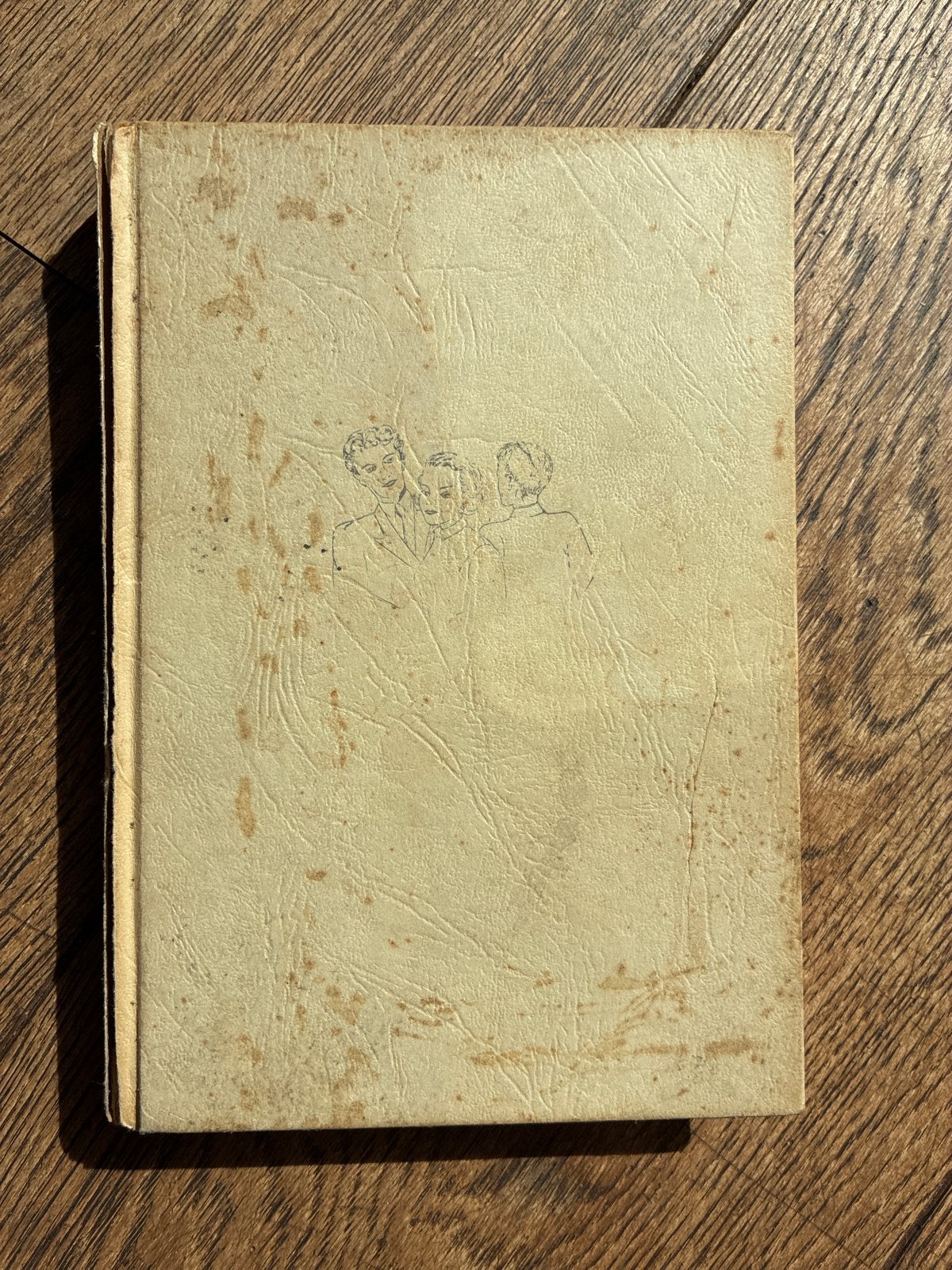 De Liefde van een Secretaresse - Mary Burchell (1957), Boeken, Ophalen of Verzenden, Gelezen, Nederland