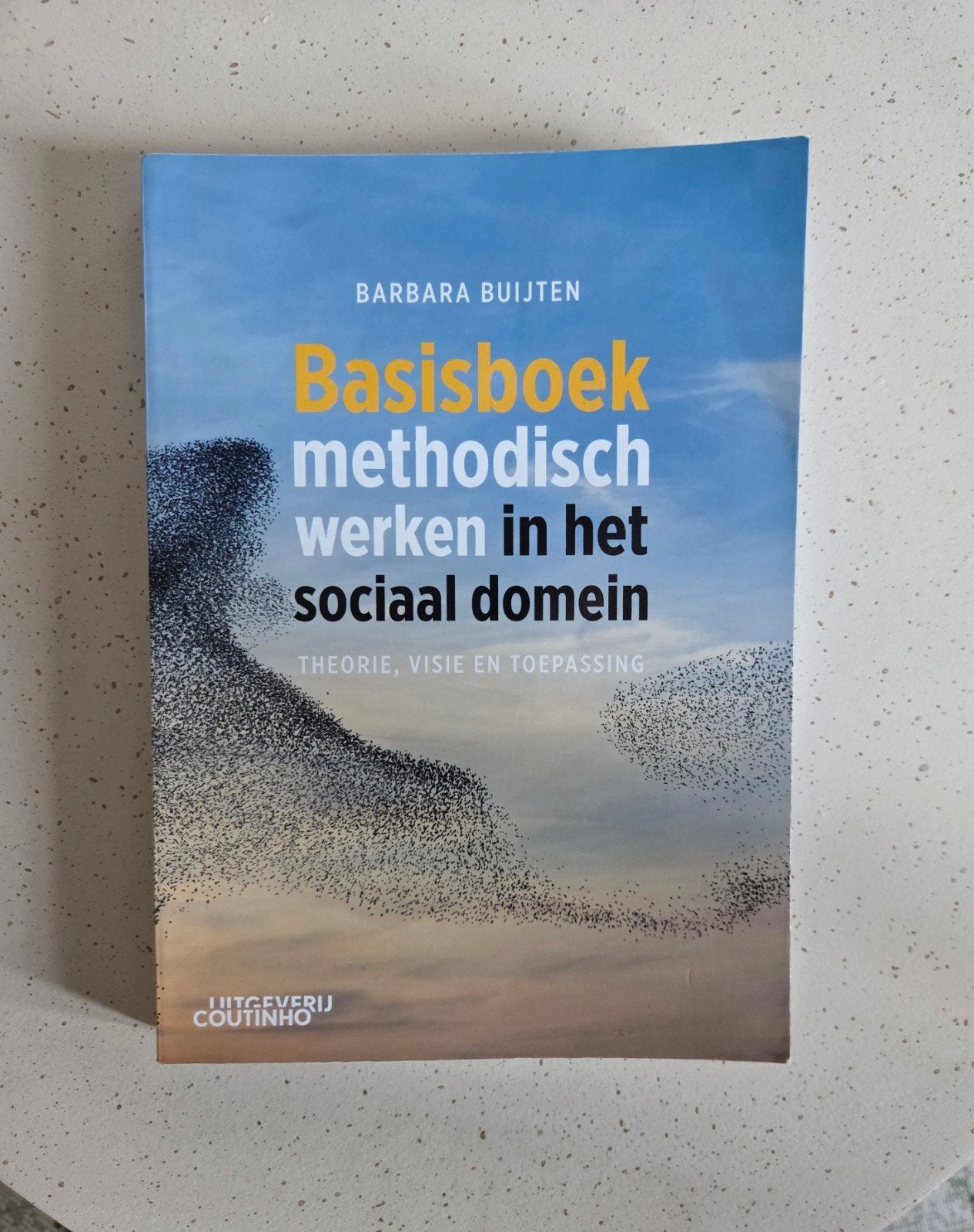 Basisboek methodisch werken in het sociaal domein, Ophalen of Verzenden, Alpha, Zo goed als nieuw, HBO