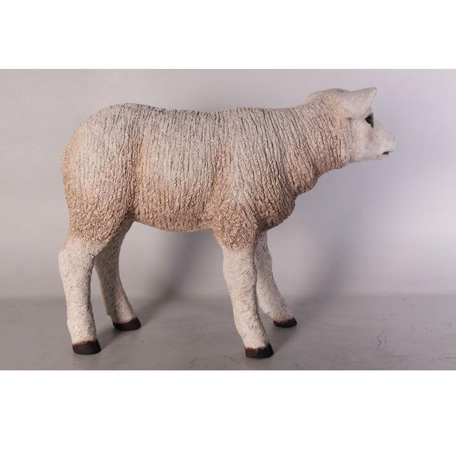 Texelaar Lam – Schaap beeld Lengte 58 cm, Ophalen, Nieuw, Overige typen