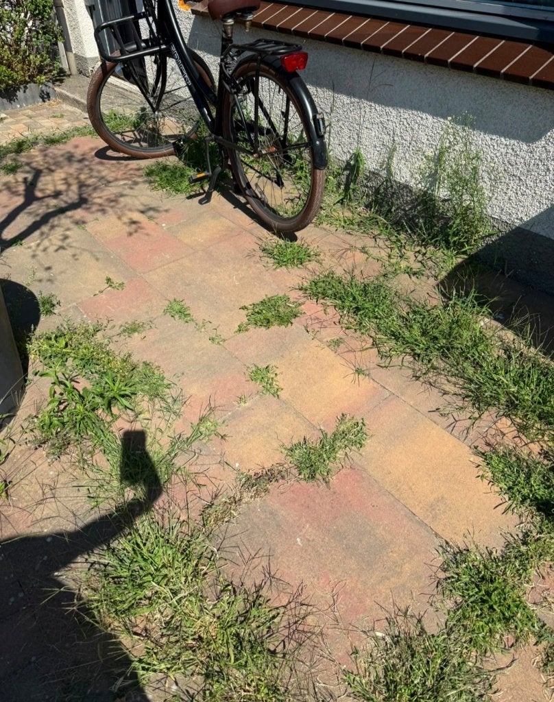 Gratis tegels, Ophalen, Gebruikt, Beton, Terrastegels