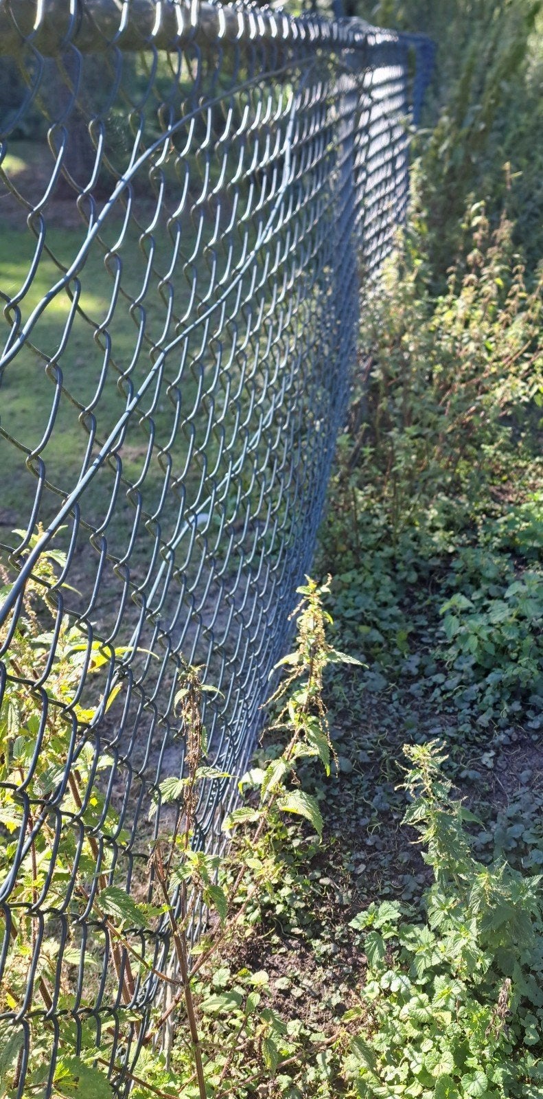 42 meter gaashekwerk groen, Tuin en Terras, Tuinhekken en Hekwerk, Ophalen of Verzenden, IJzer, Gaashekwerk