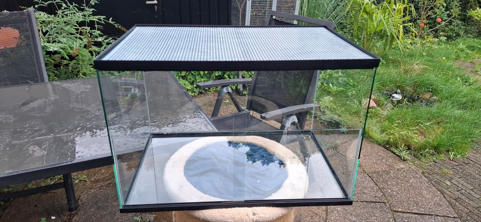 Terrarium met hoge vooruit, Dieren en Toebehoren, Ophalen, Zo goed als nieuw, Terrarium of Paludarium