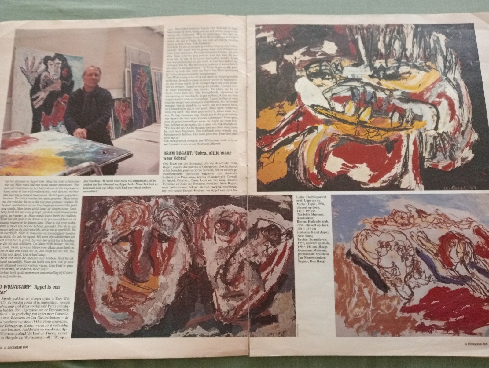 Karel Appel: Ik wou dat ik een vogel was - Catalogus, Ophalen of Verzenden, Gelezen, Overige onderwerpen