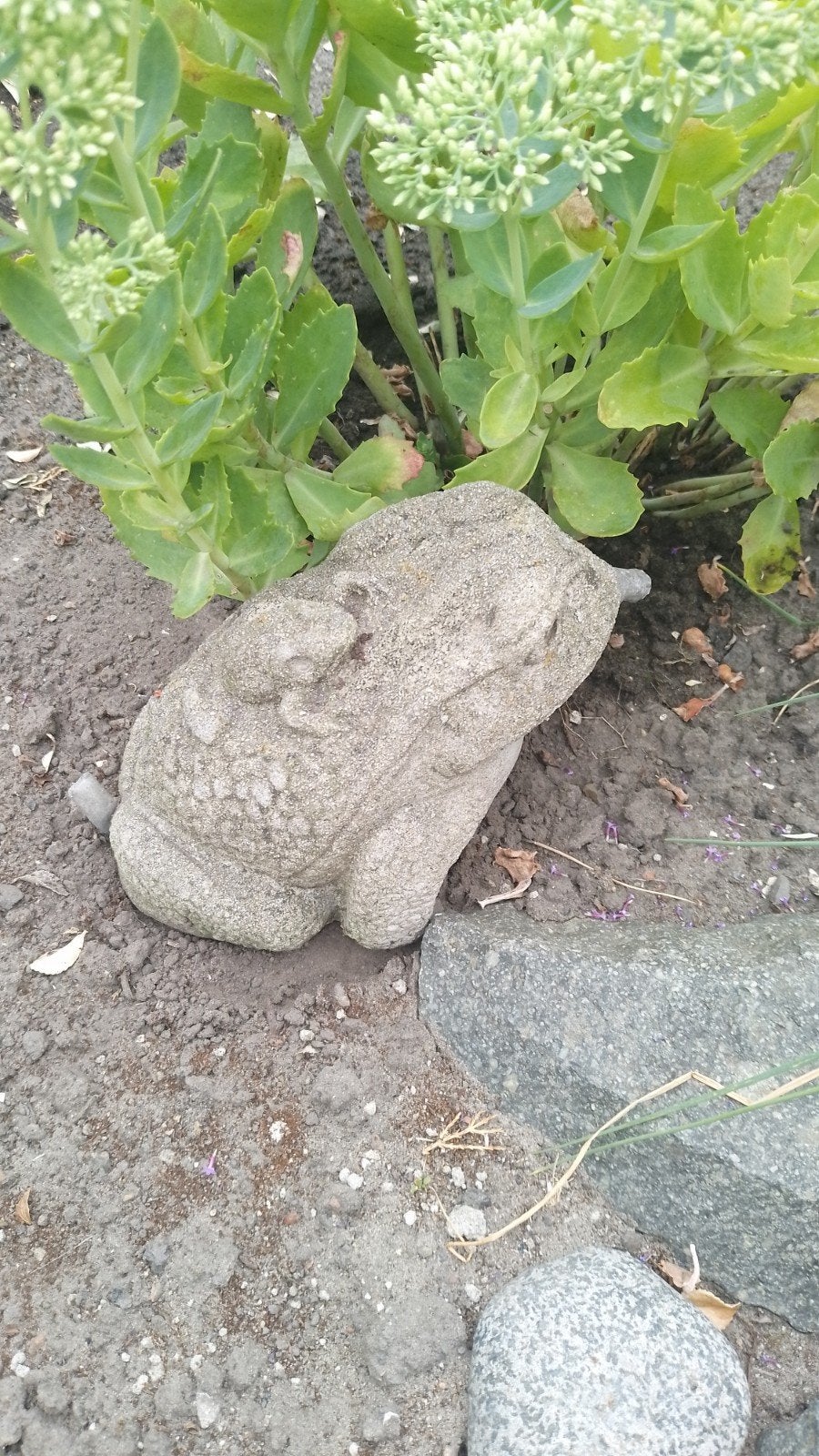 Leuke spuitfiguur kikker voor bij de vijver, Tuin en Terras, Ophalen