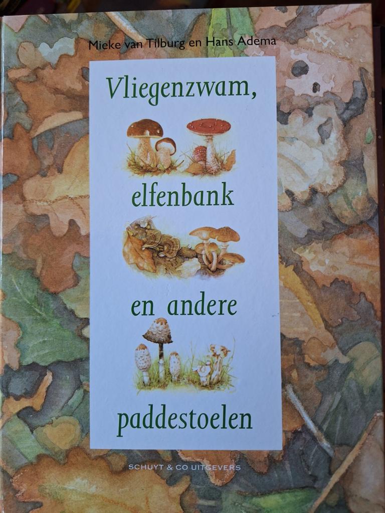 Vliegenzwam, elfenbank en andere paddestoelen Tilburg Adema, Ophalen of Verzenden, Zo goed als nieuw