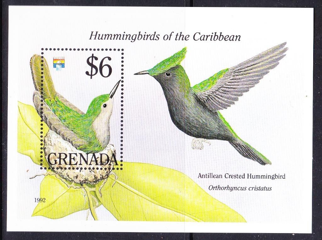 Grenada 1992 pf mi 2429 block 306 kolibri vogel, Verzenden, Postfris, Dier of Natuur