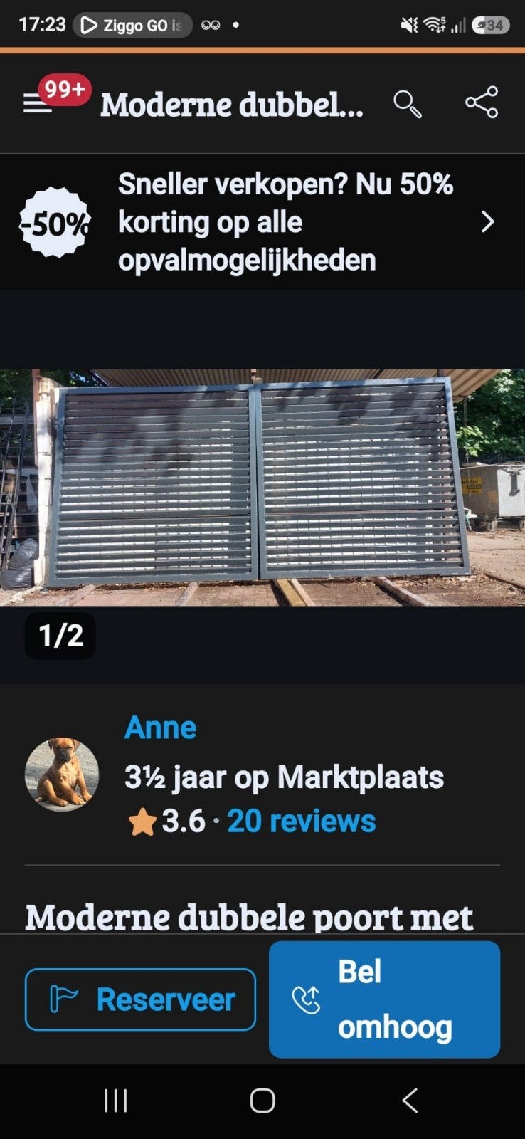 lamellen poort, Ophalen, IJzer, Sierhekwerk