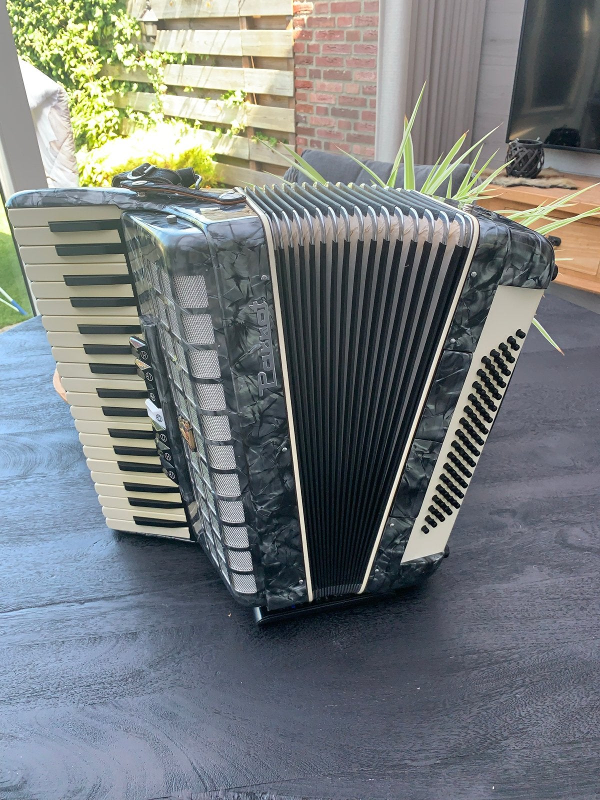 Prachtige Parrot accordeon 80 bas, Muziek en Instrumenten, Gebruikt, Met riemen, 80-bas, Toetsaccordeon