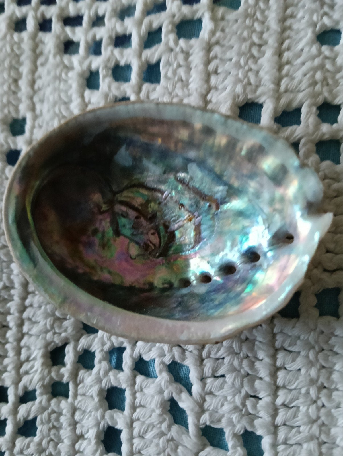 Set van 3 Abalone Schelpen - Prachtige Decoratie, Ophalen of Verzenden, Gebruikt