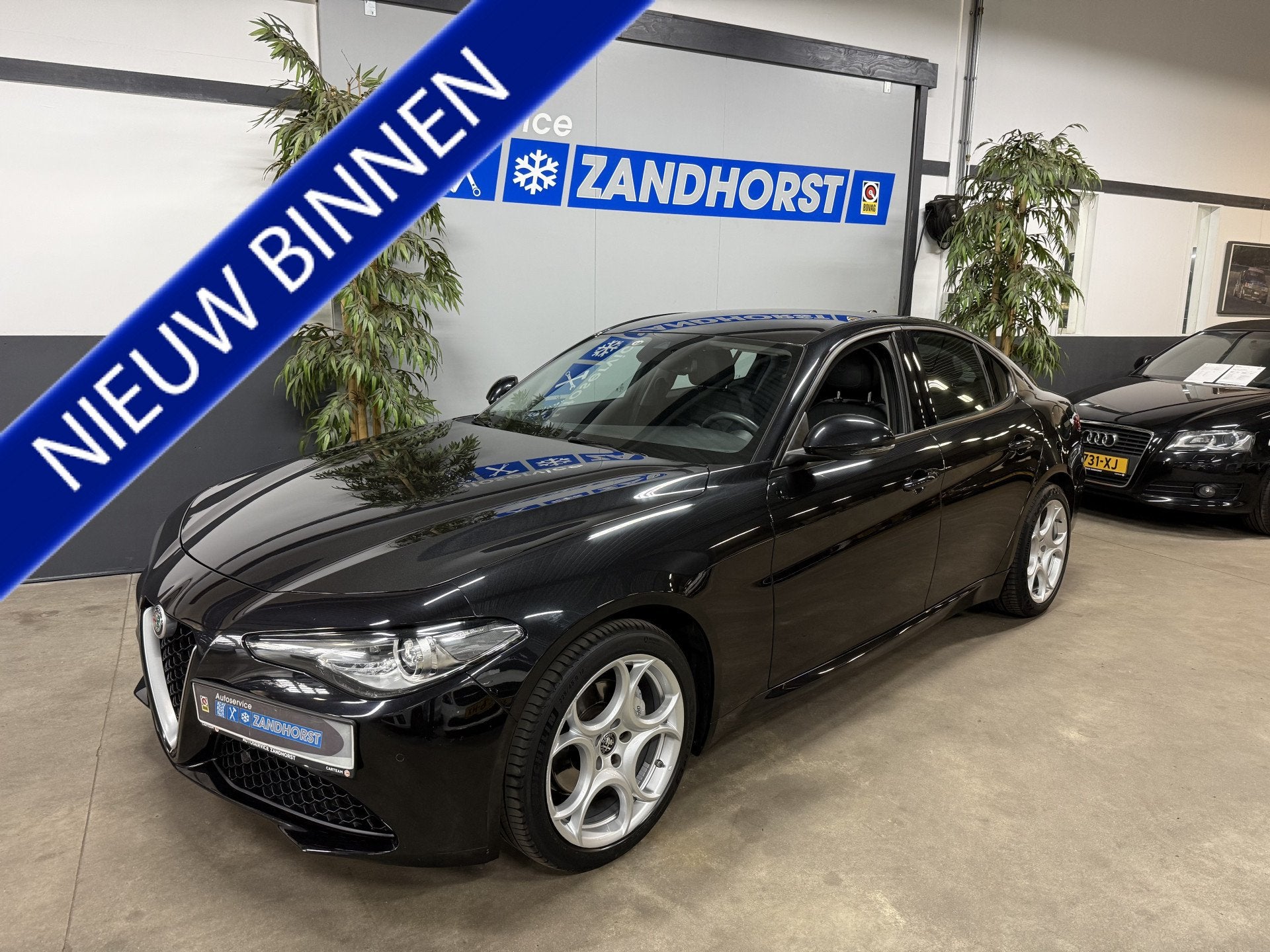 Alfa Romeo Giulia 2.0T // Camera // Adapt. Cruise (bj 2019), Auto's, Automaat, 745 kg, Achterwielaandrijving, Euro 6
