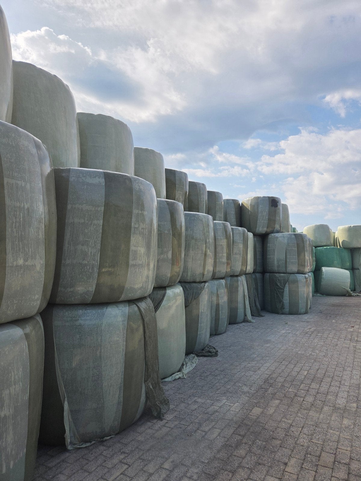 Grote hooibalen in plastic (paardenvoer), Ophalen, Vee
