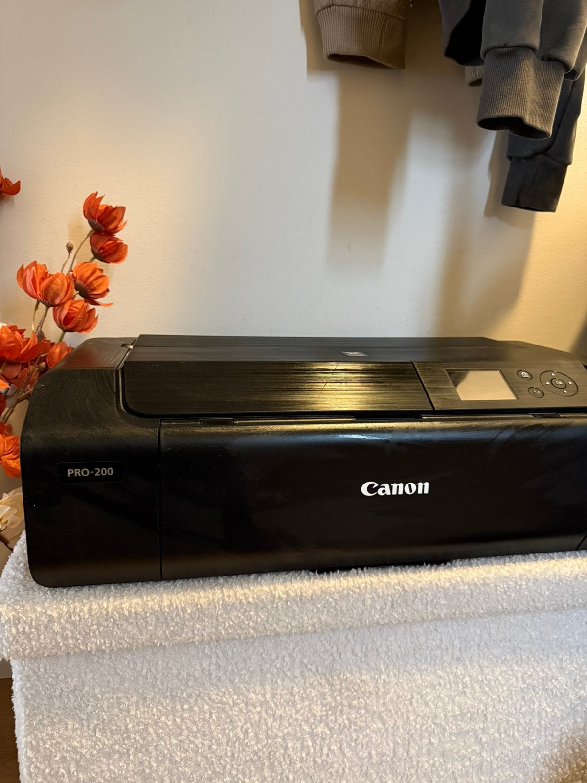 Canon Pixma Pro 200, Computers en Software, Printers, Ophalen, Zo goed als nieuw