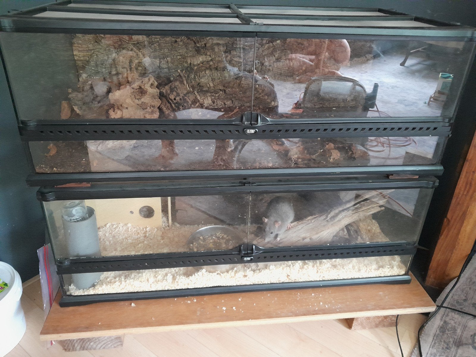 2 x exo terrarium, Ophalen