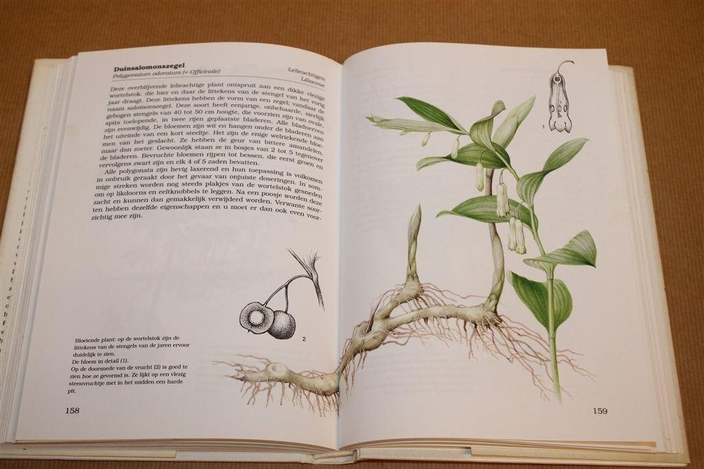 Giftige Planten — Herkenning & Beschrijving, Ophalen of Verzenden, Gelezen, Bloemen, Planten en Bomen