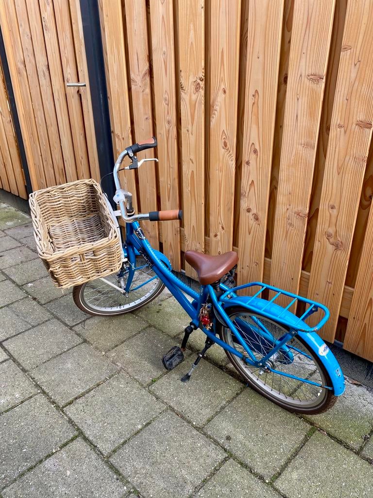 Alpina Meisjesfiets, Ophalen, Gebruikt, 20 inch
