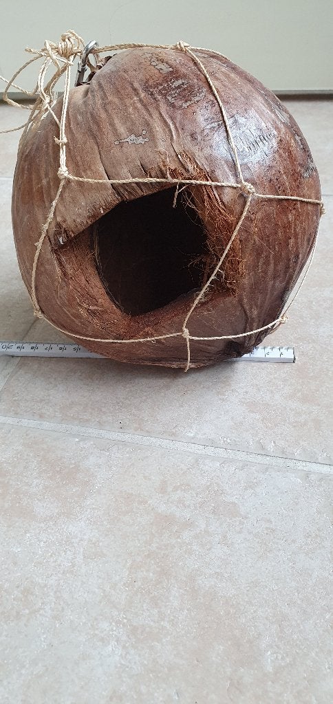 Kokosnoot als broedhok voor vogels., Dieren en Toebehoren, Ophalen of Verzenden, Nieuw, Hout, Overige typen