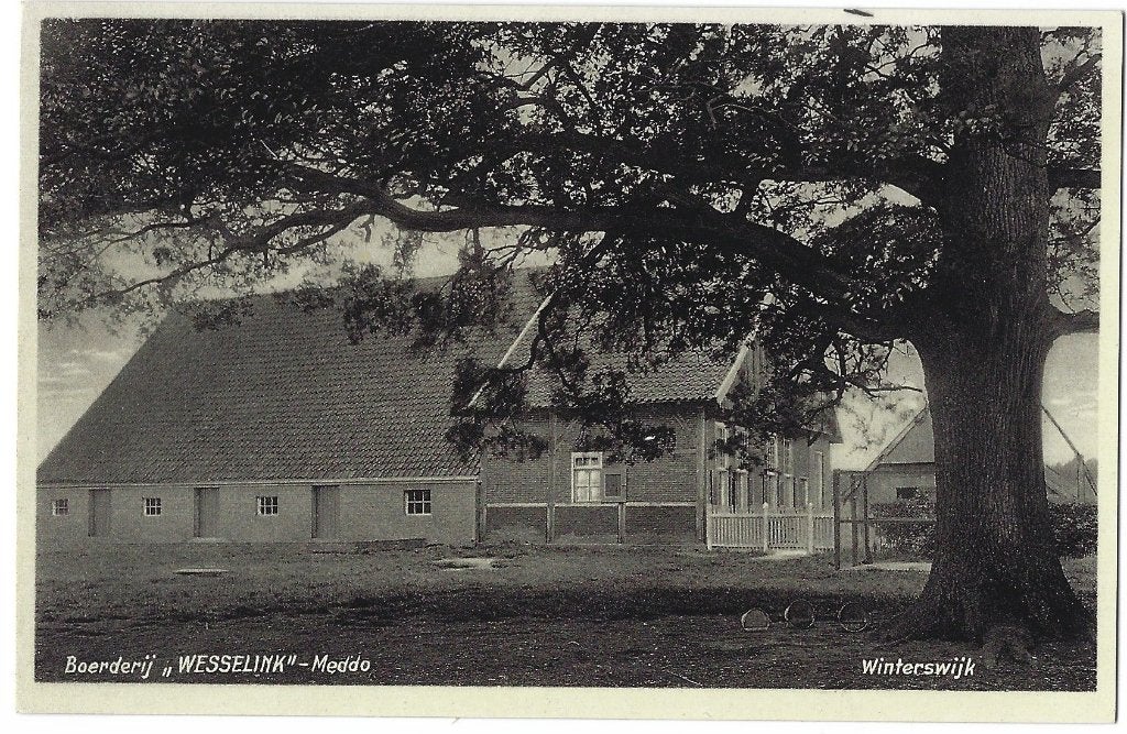 Winterswijk, Boerderij "Wesselink"-Meddo - Opruimingskaart, Verzenden, 1940 tot 1960, Ongelopen, Gelderland