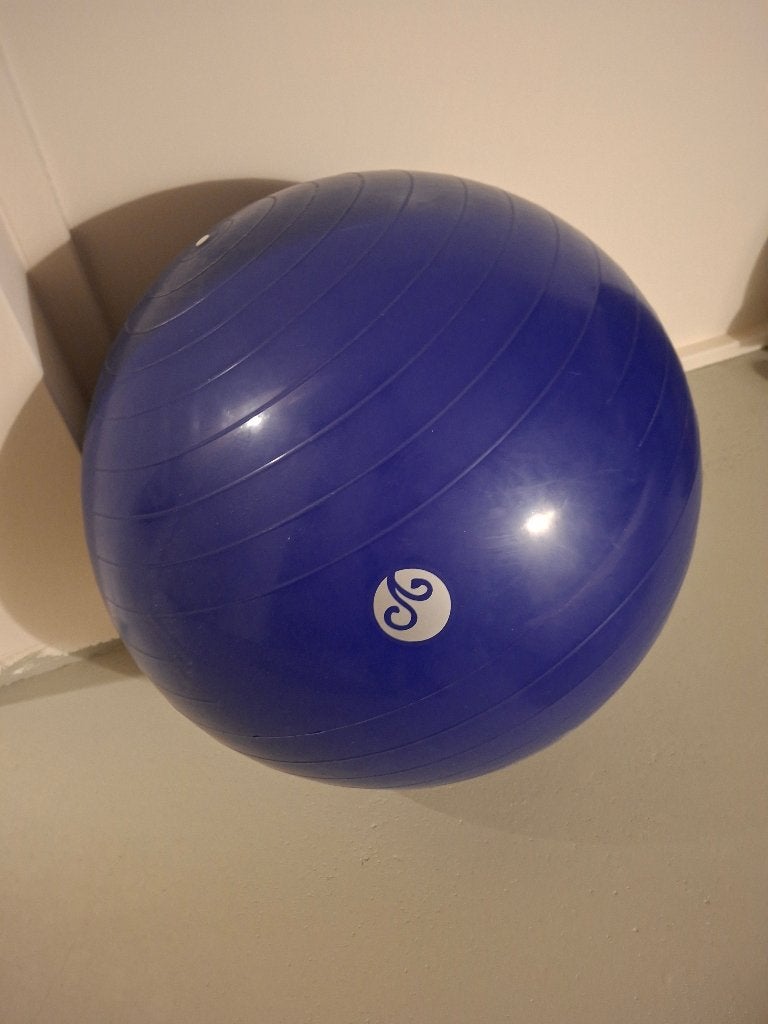 Fitnessbal, Sport en Fitness, Ophalen, Gebruikt, Overig