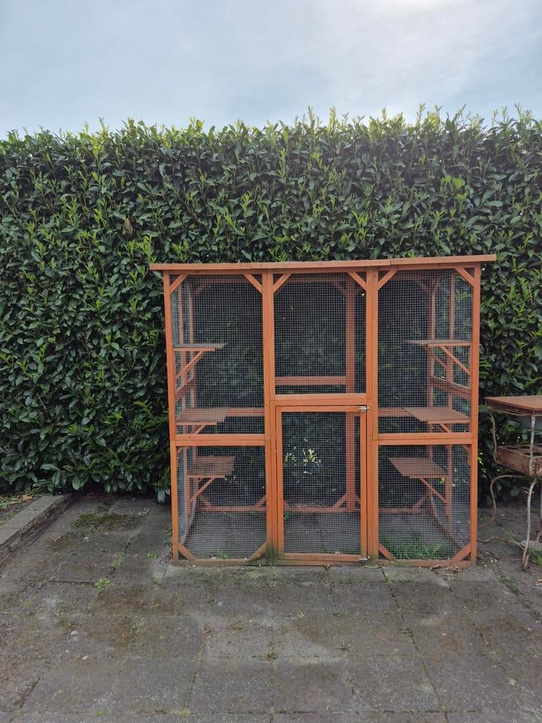 Mooie katten buitenkooi, Dieren en Toebehoren, Ophalen, Zo goed als nieuw